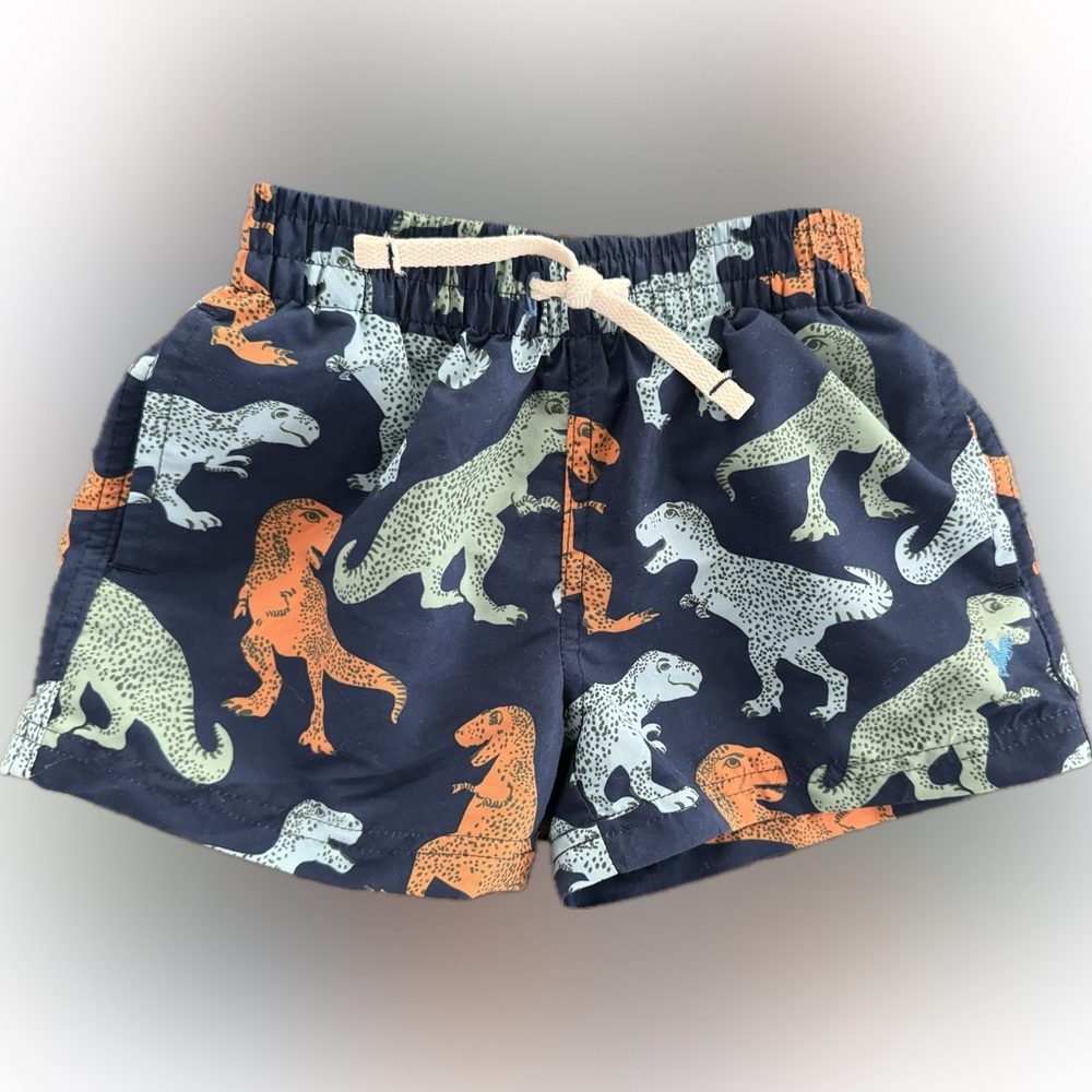 Pink Chicken Blue Rooster Dinosaur Swim Trunks